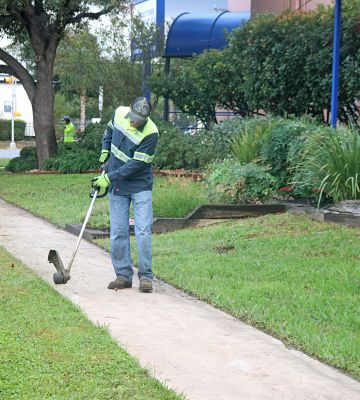 Trimming at RestoreEd